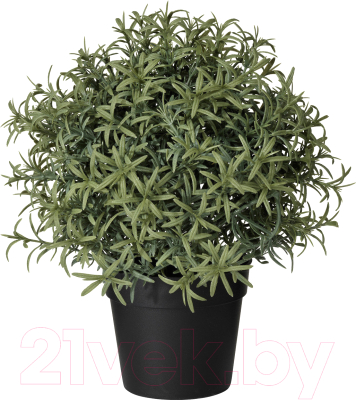 Искусственное растение Ikea Фейка 703.821.14