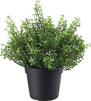 Искусственное растение Ikea Фейка 803.953.33 - 