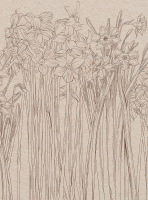Фотообои листовые Vimala Полевые цветы 4 (270x200) - 