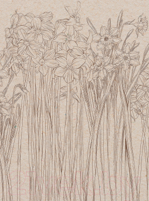 Фотообои листовые Vimala Полевые цветы 4 (270x200)