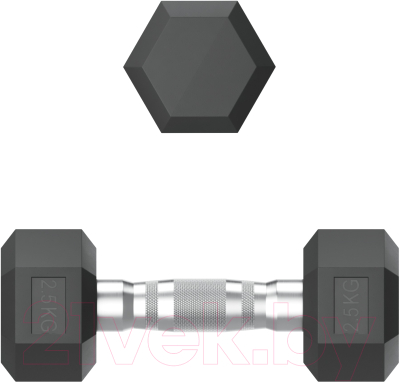 Изображение товара Гантель UNIX Fit DBHEX2.5 (2.5кг)