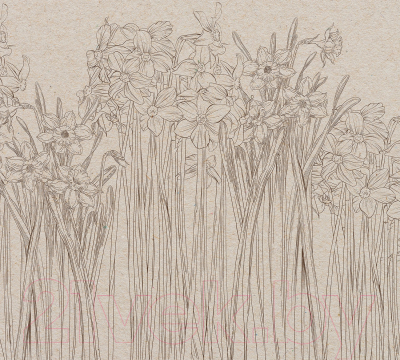 Фотообои листовые Vimala Полевые цветы 4 (270x300)