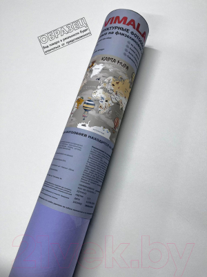 Фотообои листовые Vimala Карта мира с шарами (270x300)