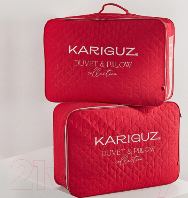 Одеяло Kariguz КА21-4-2 (172x205)