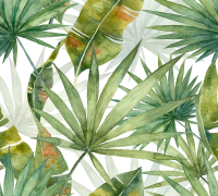 Фотообои листовые Vimala Листья акварель (270x300) - 