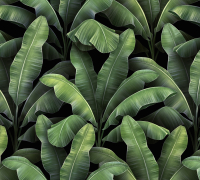 Фотообои листовые Vimala Листья патерн (270x300) - 