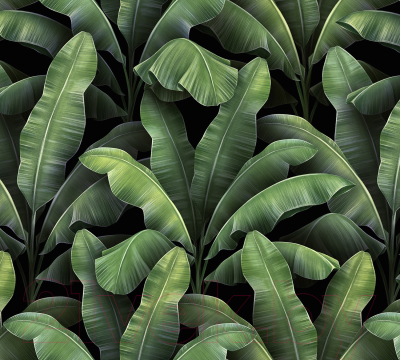 Фотообои листовые Vimala Листья патерн (270x300)