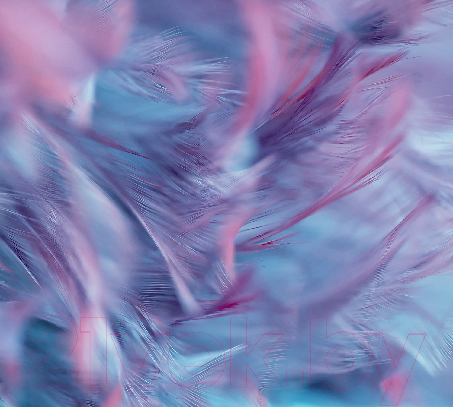 Фотообои листовые Vimala Перья 7 (270x300)