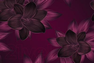 Фотообои листовые Vimala Векторные цветы 11 (270x400)