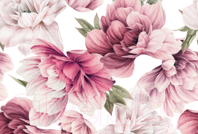 Фотообои листовые Vimala Настенные цветы 9 (270x400)