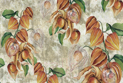 Фотообои листовые Vimala Рисованные цветы 3 (270x400)