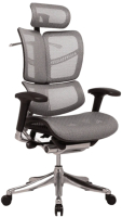 Кресло офисное Ergostyle Fly T-07 / HFYM01 (серый) - 