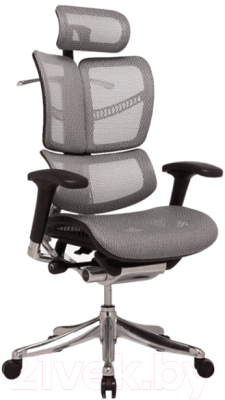 Кресло офисное Ergostyle Fly T-07 / HFYM01 (серый)