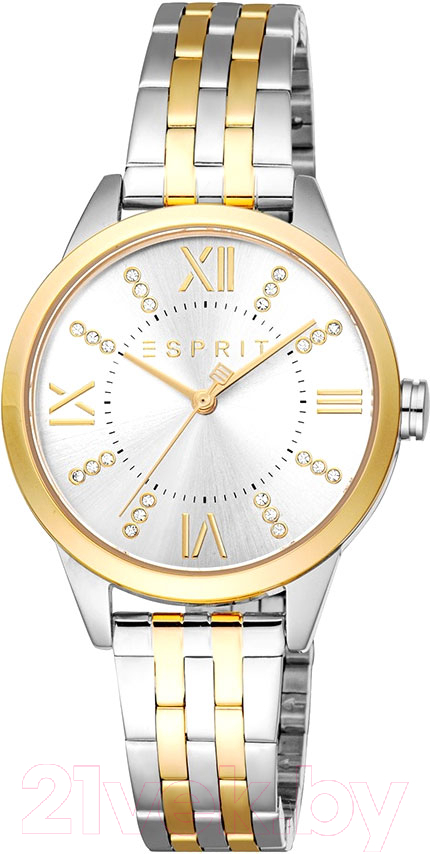 Часы наручные женские Esprit ES1L259M6085