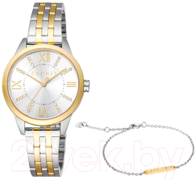 Часы наручные женские Esprit ES1L259M6085