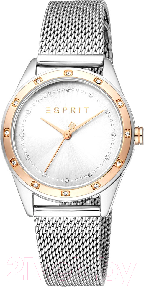 Часы наручные женские Esprit ES1L349M0115