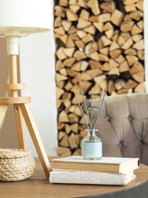 Аромадиффузор Arida Home Hygge №21 Остров Борнео (100мл)