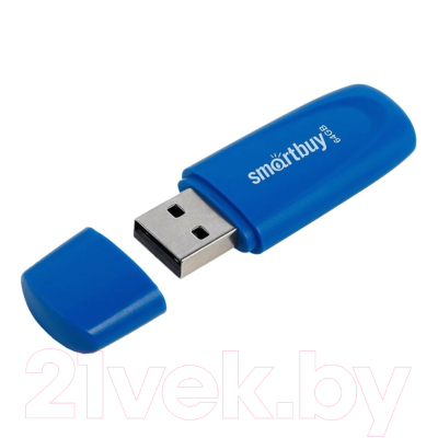 Usb flash накопитель SmartBuy Scout Blue 64GB (SB064GB2SCB)
