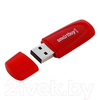 Usb flash накопитель SmartBuy Scout Red 64GB (SB064GB2SCR)