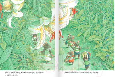 Книга Издательство Самокат 14 лесных мышей. Стирка / 9785001675402 (Ивамура К.)