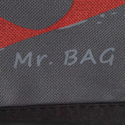 Сумка дорожная Mr.Bag 020-C101-MB-GBK (серый/черный)