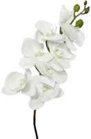 Искусственное растение Артфлора Орхидея фаленопсис / 109012 (белый) - 