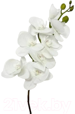 Искусственное растение Артфлора Орхидея фаленопсис / 109012 (белый)