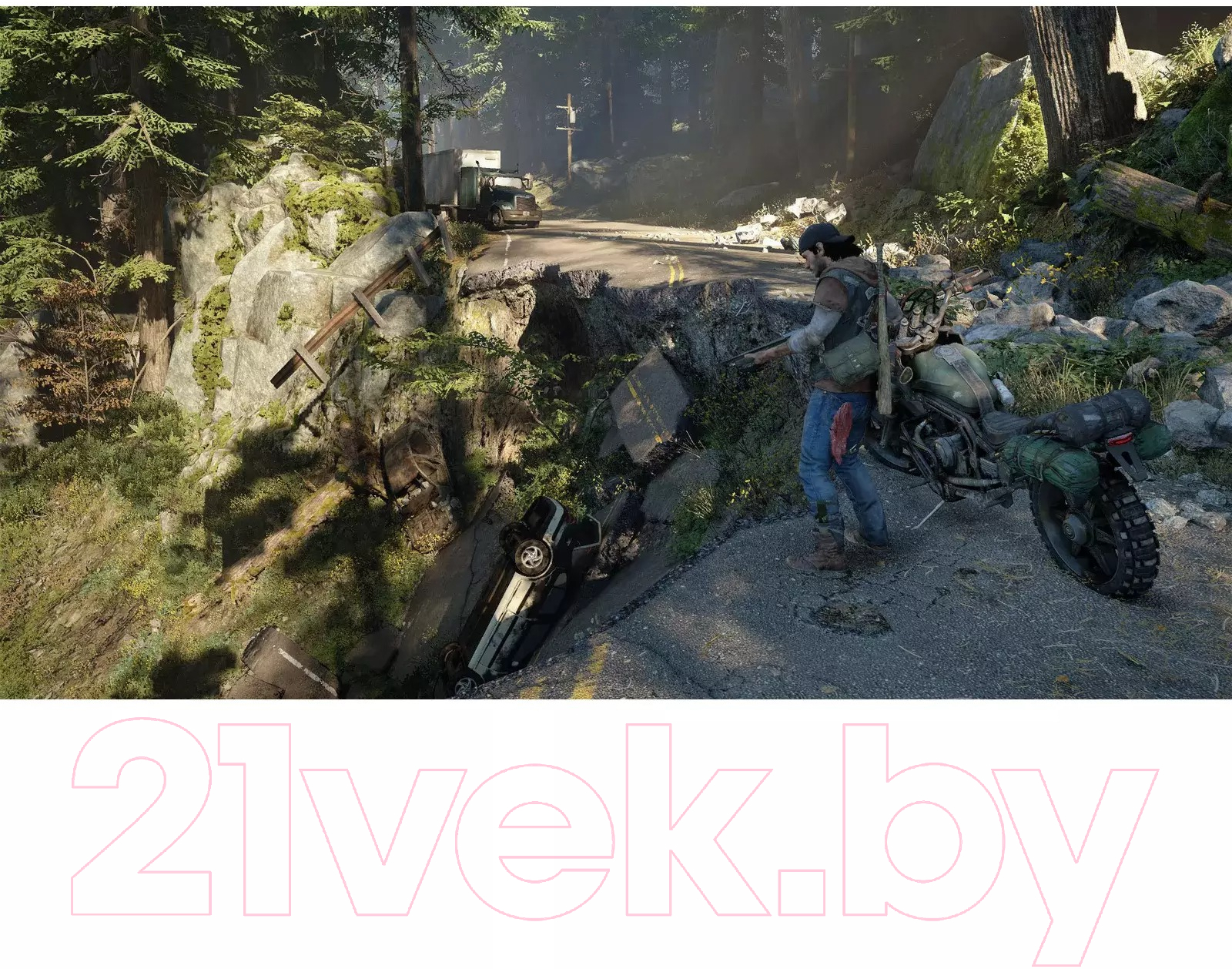 Игра для игровой консоли PlayStation 4 Days Gone