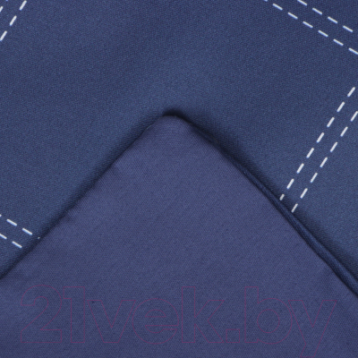 Комплект постельного белья Этель Cage 2сп / 10060109 (темно-синий)