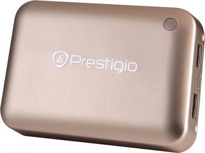 Портативное зарядное устройство Prestigio PBC02100CP - общий вид