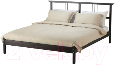Полуторная кровать Ikea Рикене 493.029.06
