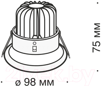 Точечный светильник Maytoni Zoom DL031-2-L12W