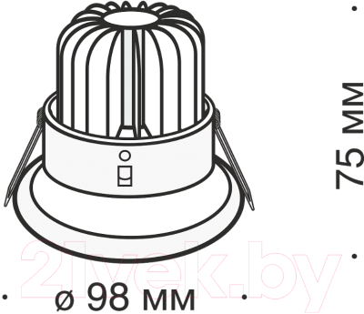 Точечный светильник Maytoni Zoom DL031-2-L8B