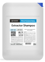 Чистящее средство для ковров и текстиля Pro-Brite Extractor Shampoo 024-10 (10л) - 
