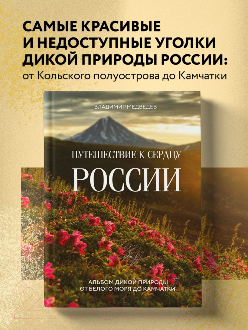 Книга Эксмо Путешествие к сердцу России / 9785041900533