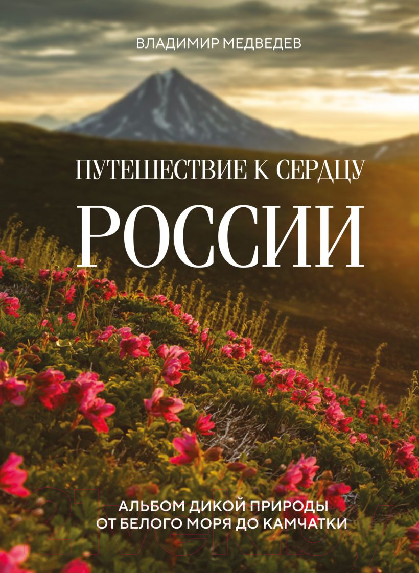 Книга Эксмо Путешествие к сердцу России / 9785041900533