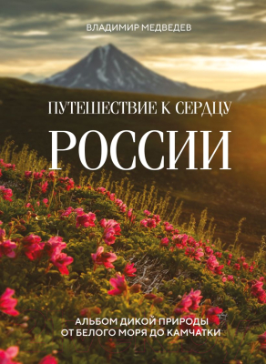 Книга Эксмо Путешествие к сердцу России / 9785041900533 (Медведев В.В.)