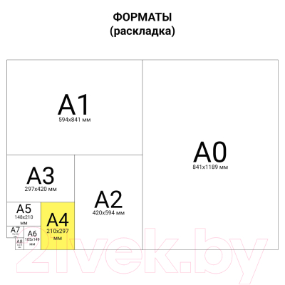 Набор папок Staff Basic / 880911 (2шт, синий)