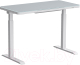 Миниатюра изображения товара Стол с подъемным механизмом AOKE Europe С эл. приводом двухмоторный 114.5-35 / AK-GT10-YZF2-W (белый)