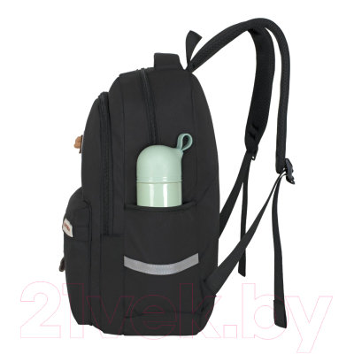 Школьный рюкзак Merlin M510 (черный)