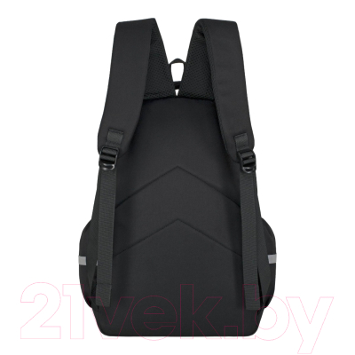 Школьный рюкзак Merlin M510 (черный)