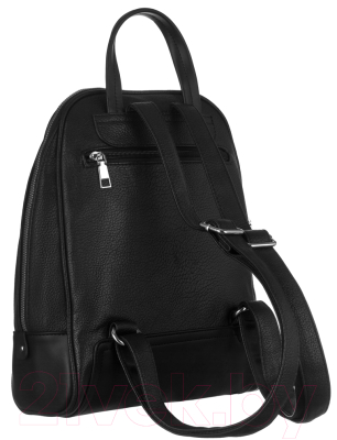 Рюкзак Cedar Rovicky R-PL-6014 (черный)