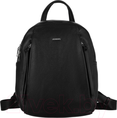 Рюкзак Cedar Rovicky R-PL-6727 (черный)