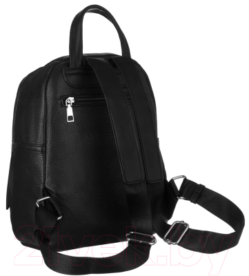 Рюкзак Cedar Rovicky R-PL-6727 (черный)