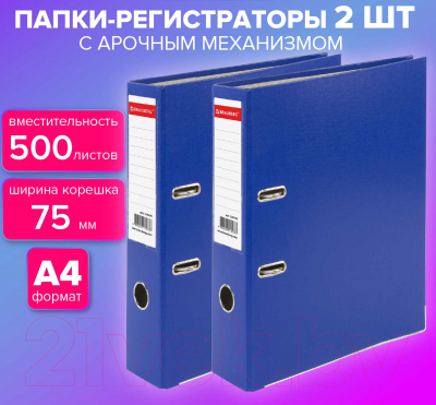 Набор папок Brauberg 880913 (2шт, синий)