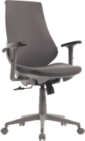 Кресло офисное Riva Xpress CX1361М (серый пластик/серая ткань 353) - 