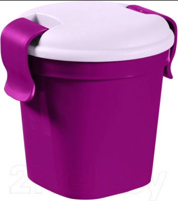 Ланч-бокс Curver Cup S / 225060 (фиолетовый)