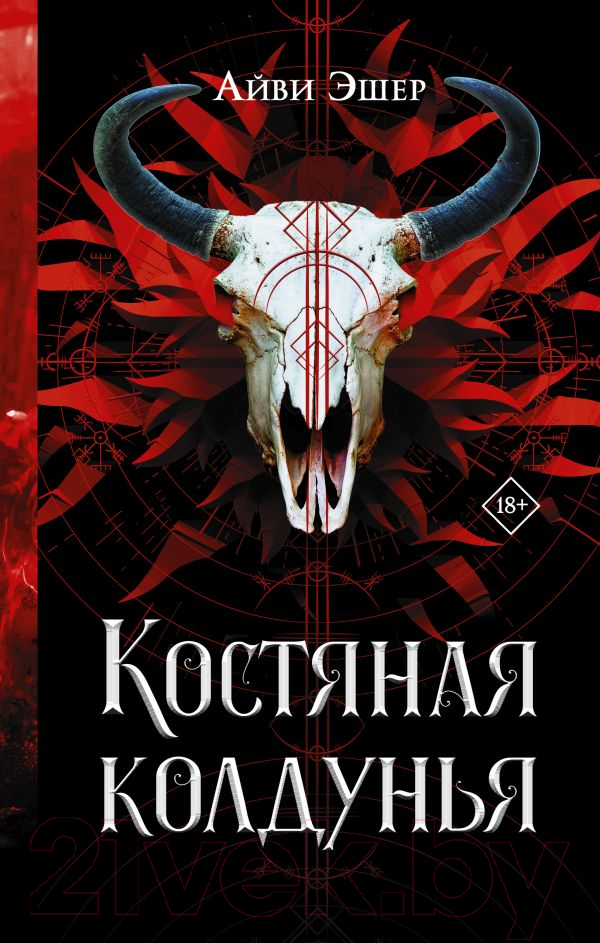 Художественная книга АСТ Костяная колдунья / 9785171557201 (Эшер А.) — фото 1