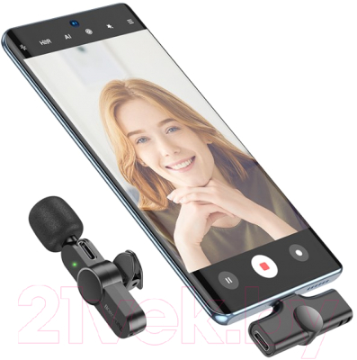 Микрофон Borofone BFK12 Type-C (черный)