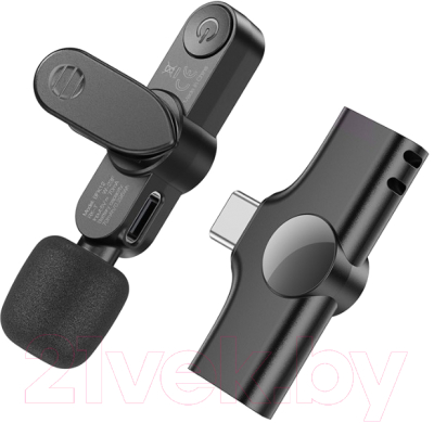 Микрофон Borofone BFK12 Type-C (черный)